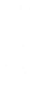 塔罗系列